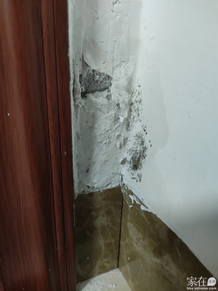 这是什么问题？？？